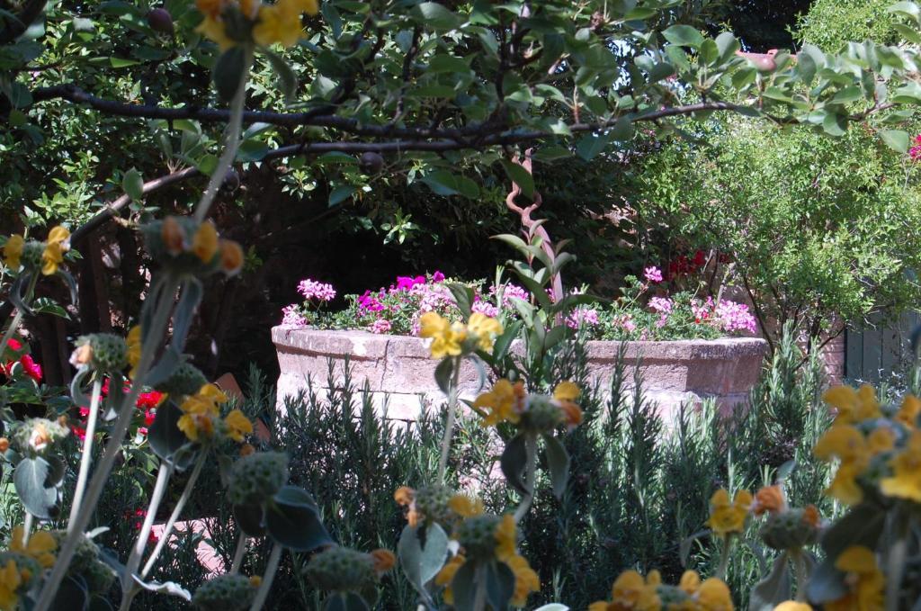 Il Giardino Segreto Hotel Pienza Luaran gambar